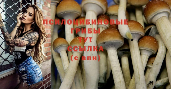 Альфа ПВП Балабаново